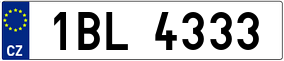 Truck License Plate